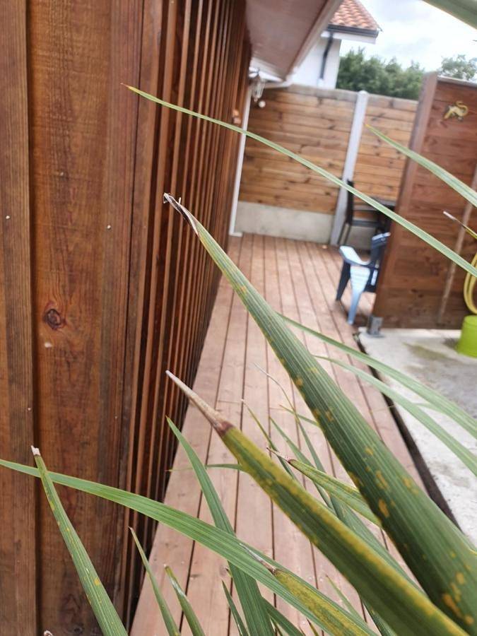 Gîte pour 2 personnes, avec terrasse à Le Teich - 2