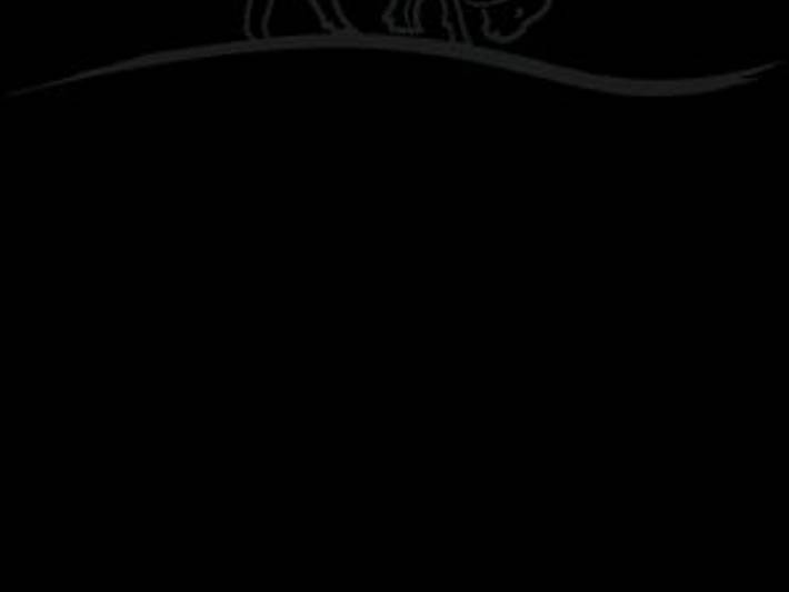 Ferienwohnung für 2 Personen, mit Garten und Ausblick im Eisacktal - 3