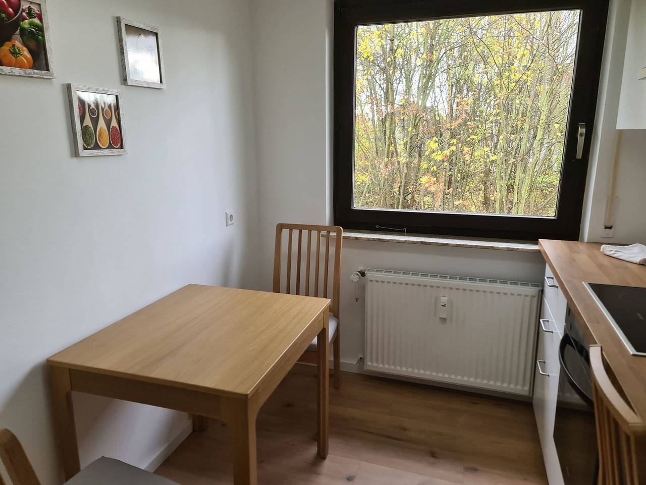 Ganze Ferienwohnung, Ferienwohnung an der Bucht in Bad Sachsa, Harzvorland