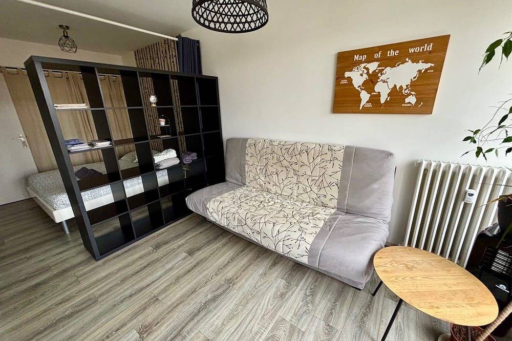 Entire apartment, Nice view 500m from the spa in Royat, Volcans d'Auvergne Regional Nature Park