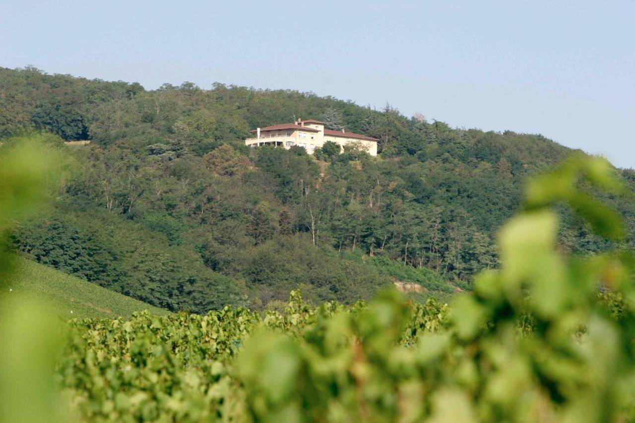 Auberge Les Hauts De Chenas in Chénas, Beaujolais