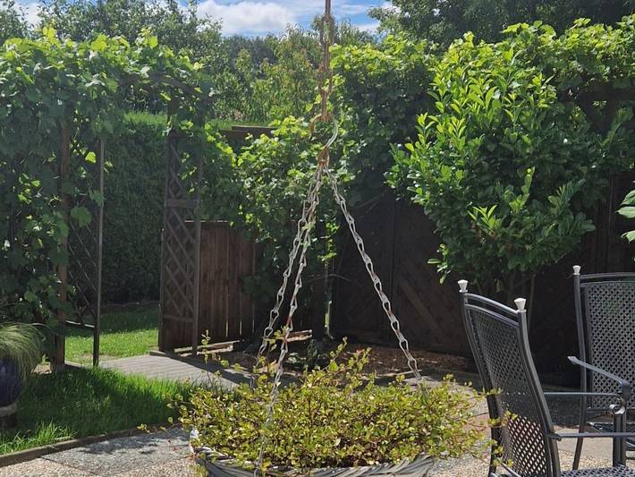 Ferienwohnung für 2 Personen, mit Garten in Bad Doberan (Stadt) - 3