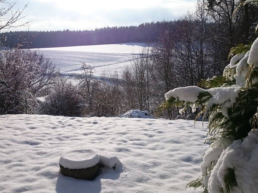 Ferienhaus mit 2 Schlafzimmer in Antrifttal, Vogelsberg Region