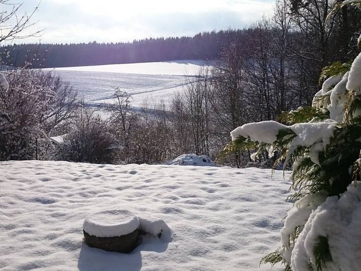Ferienhaus für 5 Personen, mit Terrasse, mit Haustier am Vogelsberg Region - 3
