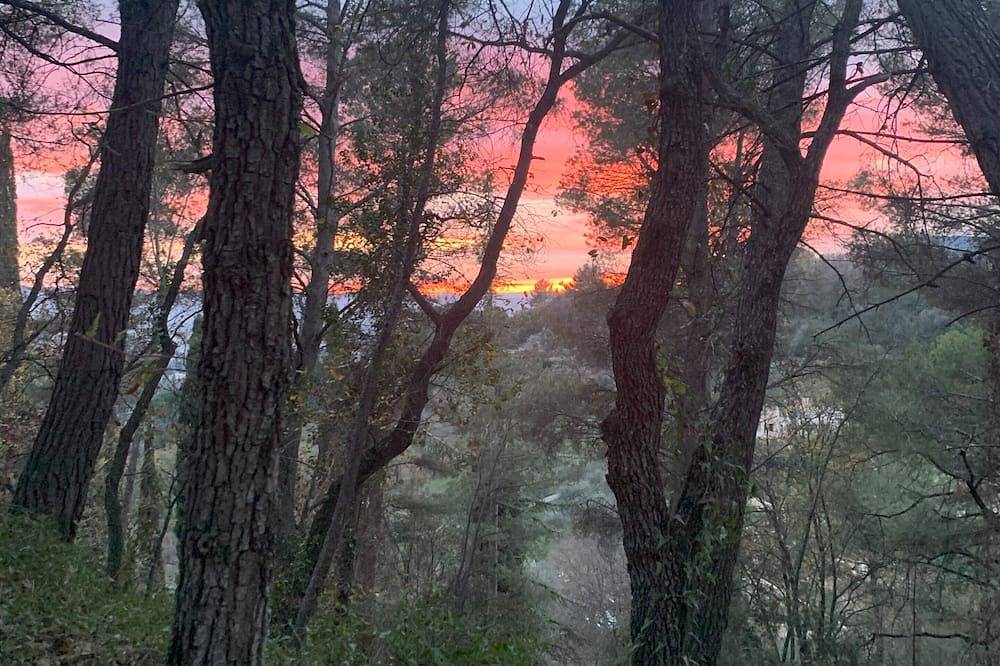 The Lodge, a haven of peace in an oak forest in Châteauneuf-Grasse, Costa mediterránea (Francia)