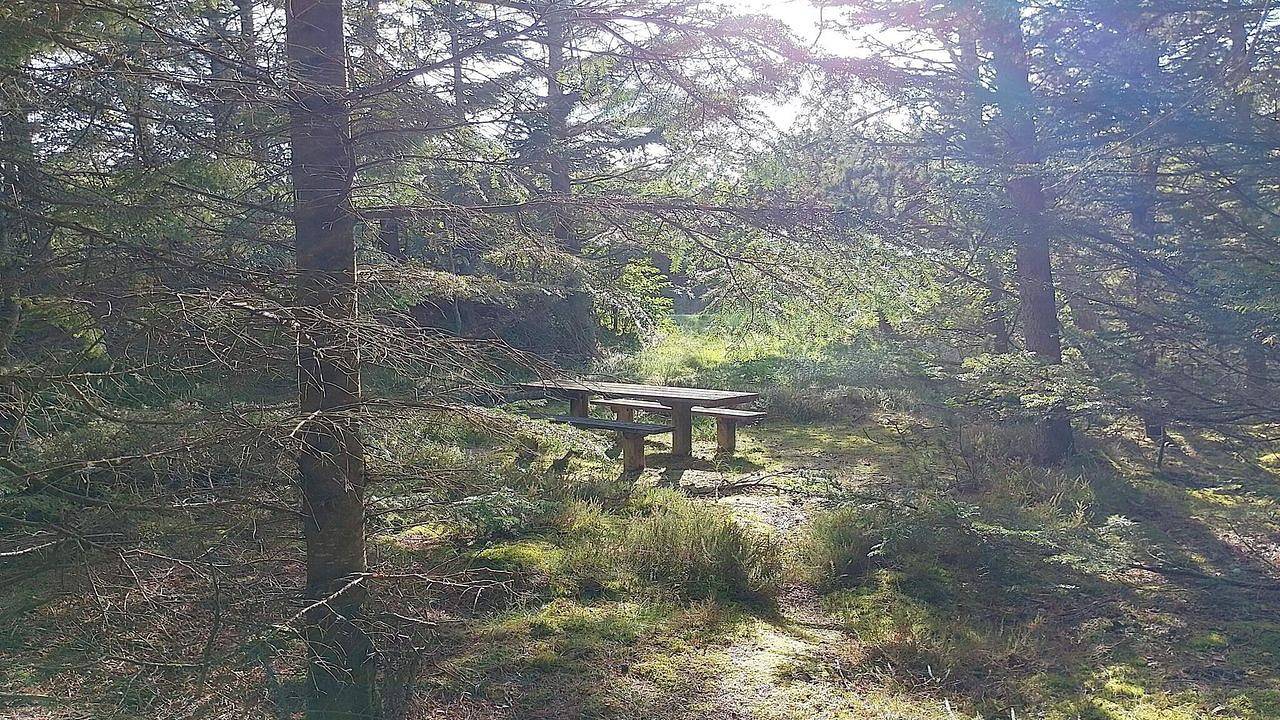 Ferienhaus für 8 Personen (150 m²) in Frøstrup in Lild Strand, Dänemark an der Nordsee