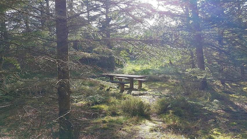 Ferienhaus mit Meerblick für 9 Personen, mit Whirlpool und Sauna sowie Terrasse, mit Haustier in Nordwestjütland - 4