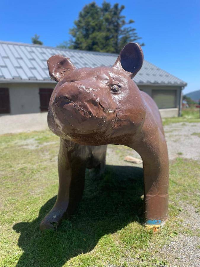 Gîte pour 6 personnes, avec terrasse et vue dans Station du Mourtis - 2