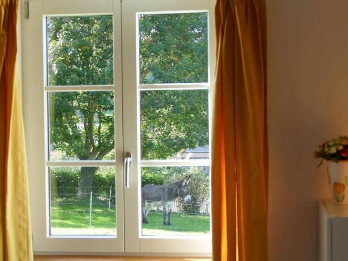 Gîte pour 2 personnes, avec terrasse et jardin à Louhossoa - 4