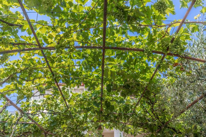 Ferienwohnung für 4 Personen, mit Terrasse in Poreč - 3