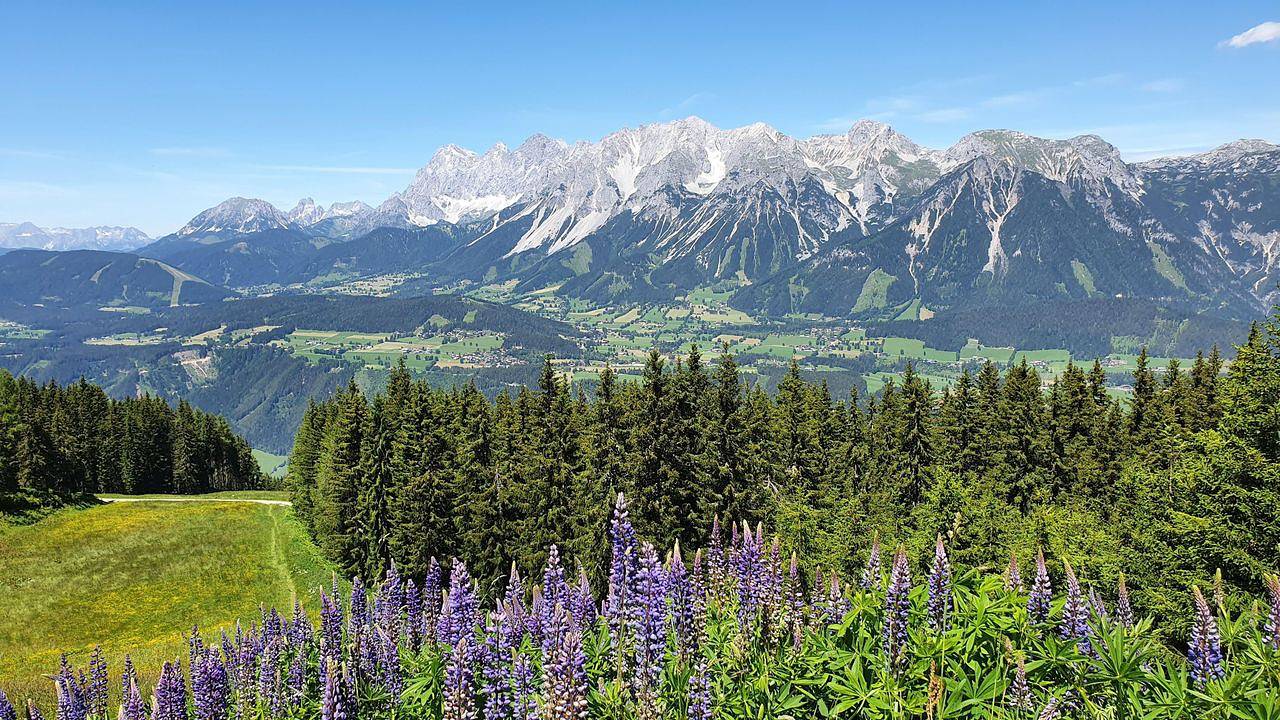 Ganze Ferienwohnung, Ferienwohnung für 3 Personen (40 m²) in Haus (Steiermark) in Haus, Schladming-Dachstein