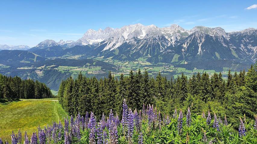 Ferienwohnung für 3 Personen, mit Terrasse und Garten in Schladming-Dachstein - 4