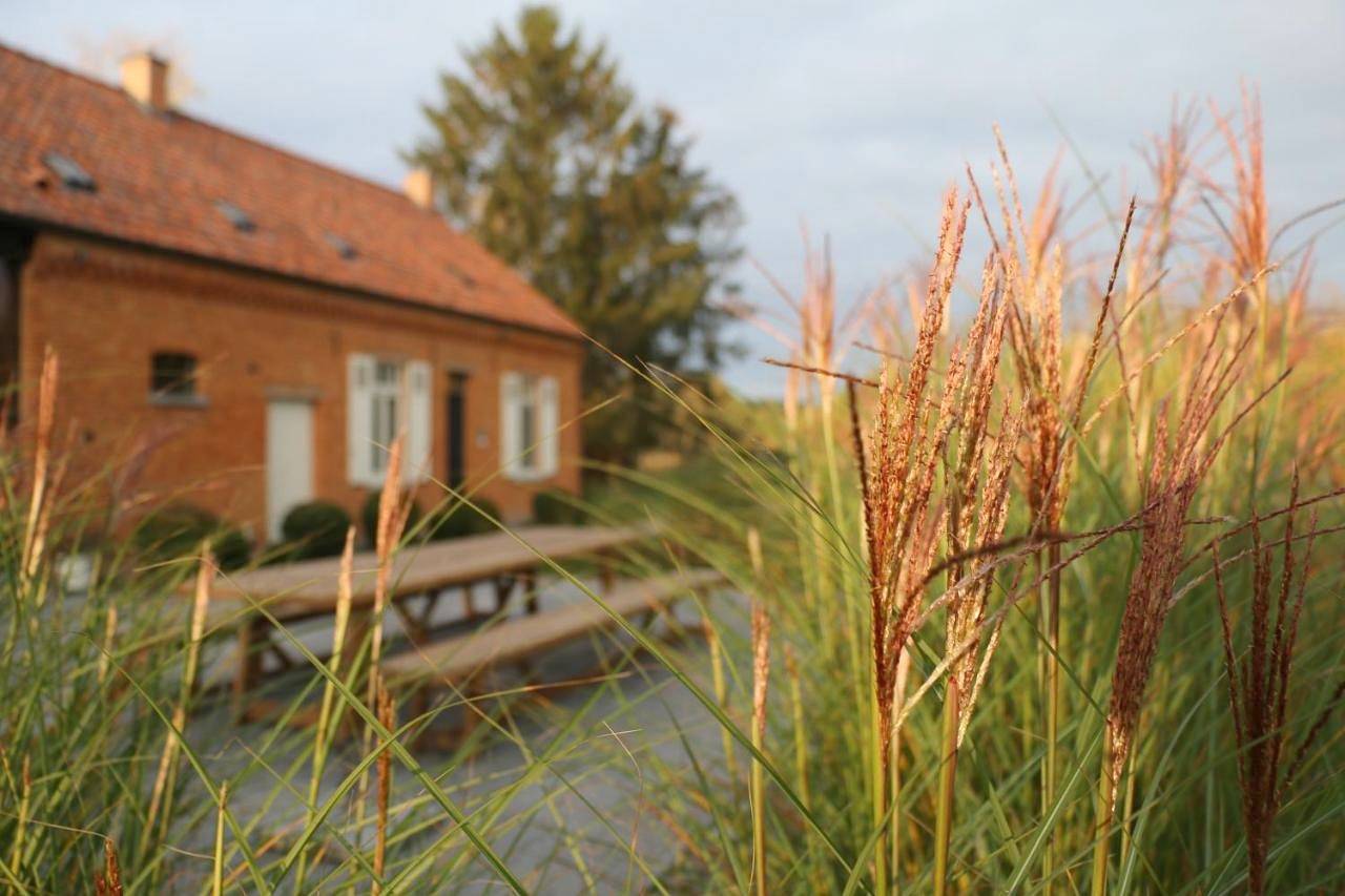 O-Lit in Paal, Beringen