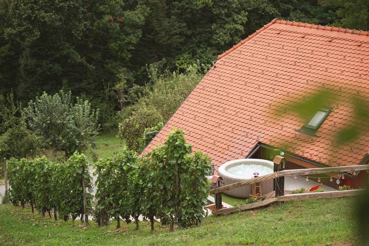 Ferienhaus in the vineyards in Sankt Kanzian, Slowenien