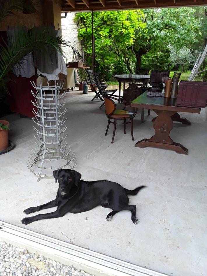 Location de vacances pour 2 personnes, avec terrasse et vue ainsi que jardin et piscine, animaux acceptés à Lagraulet-du-Gers - 4