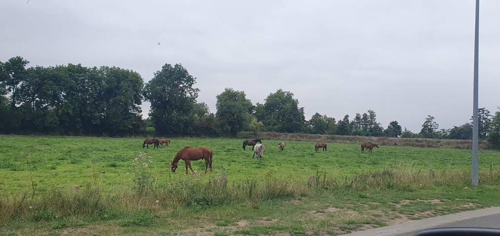 Location de vacances pour 4 personnes, avec jardin et vue à Fleury-sur-Orne - 2