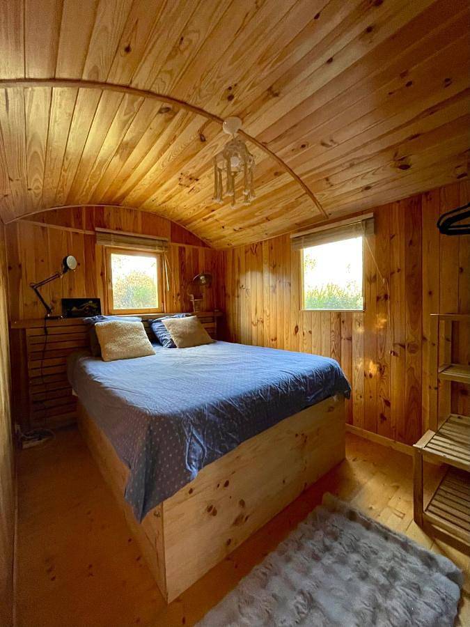 Location de vacances pour 15 personnes, avec piscine et jardin à Labouheyre - 3