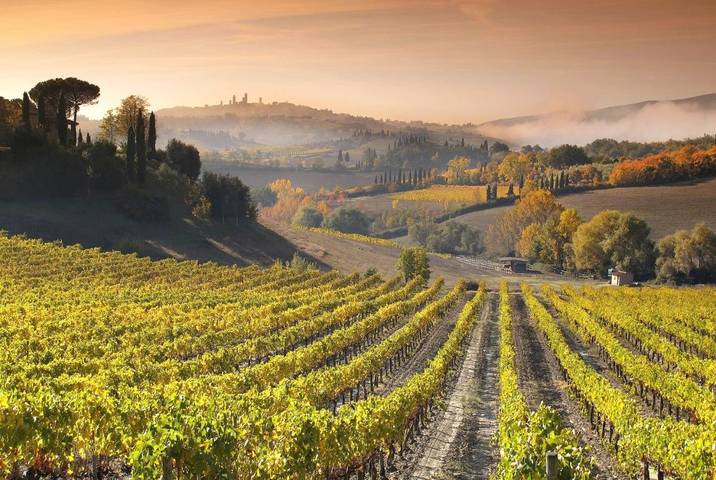 Hôtel pour 3 personnes, avec piscine et vue ainsi que sauna et jardin