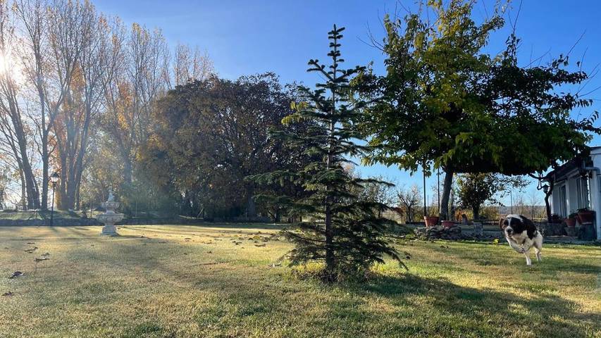 Casa rural para 16 personas, con Terraza y Jardín además de Piscina y Vistas al lago en Provincia de Albacete - 2