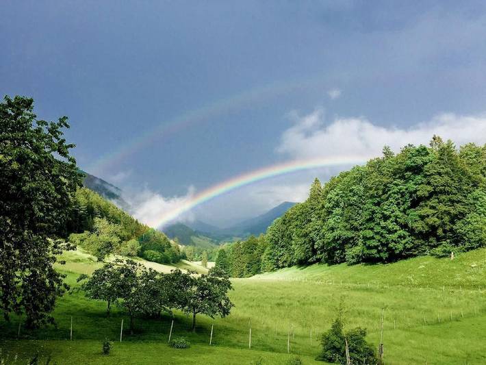 Bauernhof für 7 Personen, mit Garten und Terrasse, mit Haustier in der Schweiz - 3
