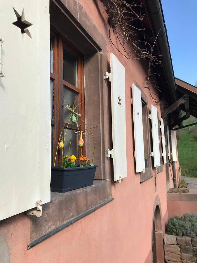 Gîte pour 6 personnes, avec jardin et vue à Steige - 2