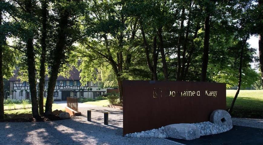 Chambre d’hôte pour 2 personnes, avec sauna et vue ainsi que piscine et jardin dans le Haut-Rhin - 4