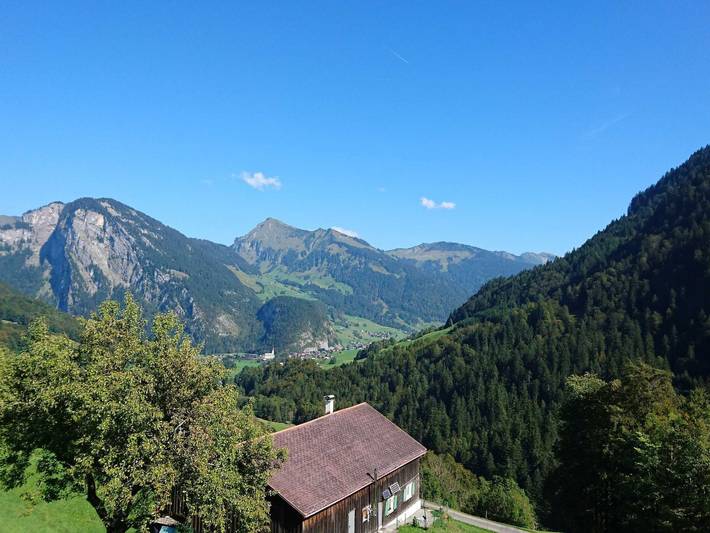 Ganze Ferienwohnung, Mac's Appartement - Mac's Appartement 1 in Bregenzerwald (Vorarlberg), Au