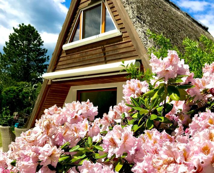 Ferienhaus für 4 Personen, mit Ausblick und Seeblick sowie Garten in Deutschland - 4