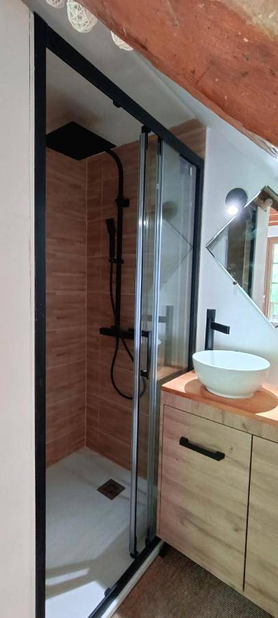 Gîte pour 10 personnes, avec vue et jardin à Saint-Colomban-des-Villards - 2