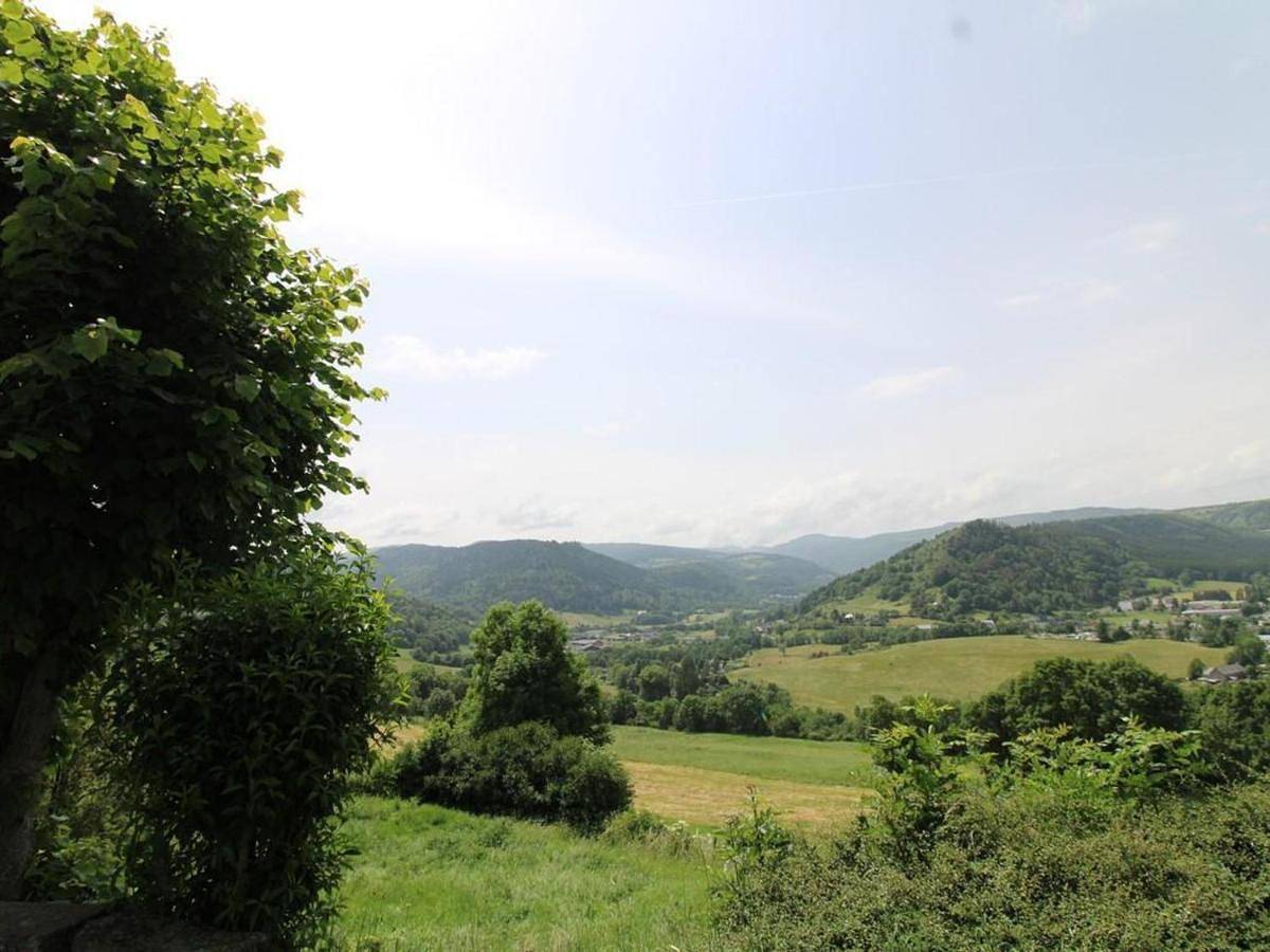 Charmante maison au cœur du Parc des Volcans d'Auvergne, idéale pour 4 pers avec cheminée et jardin - Fr-1-742-371 in Albepierre-Bredons, Parc naturel régional des Volcans d'Auvergne