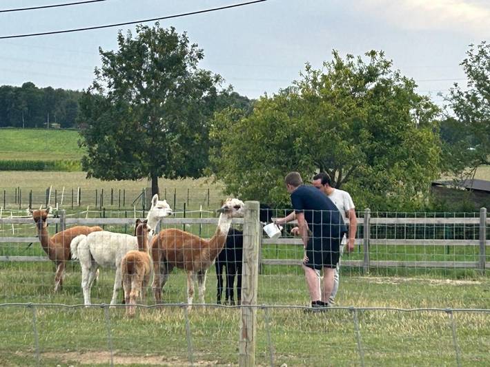 Location de vacances pour 16 personnes, avec jardin et vue à Zonnebeke - 2