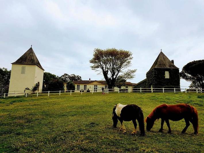 Maison de campagne pour 2 personnes, avec piscine ainsi que jardin et vue à Soulignac