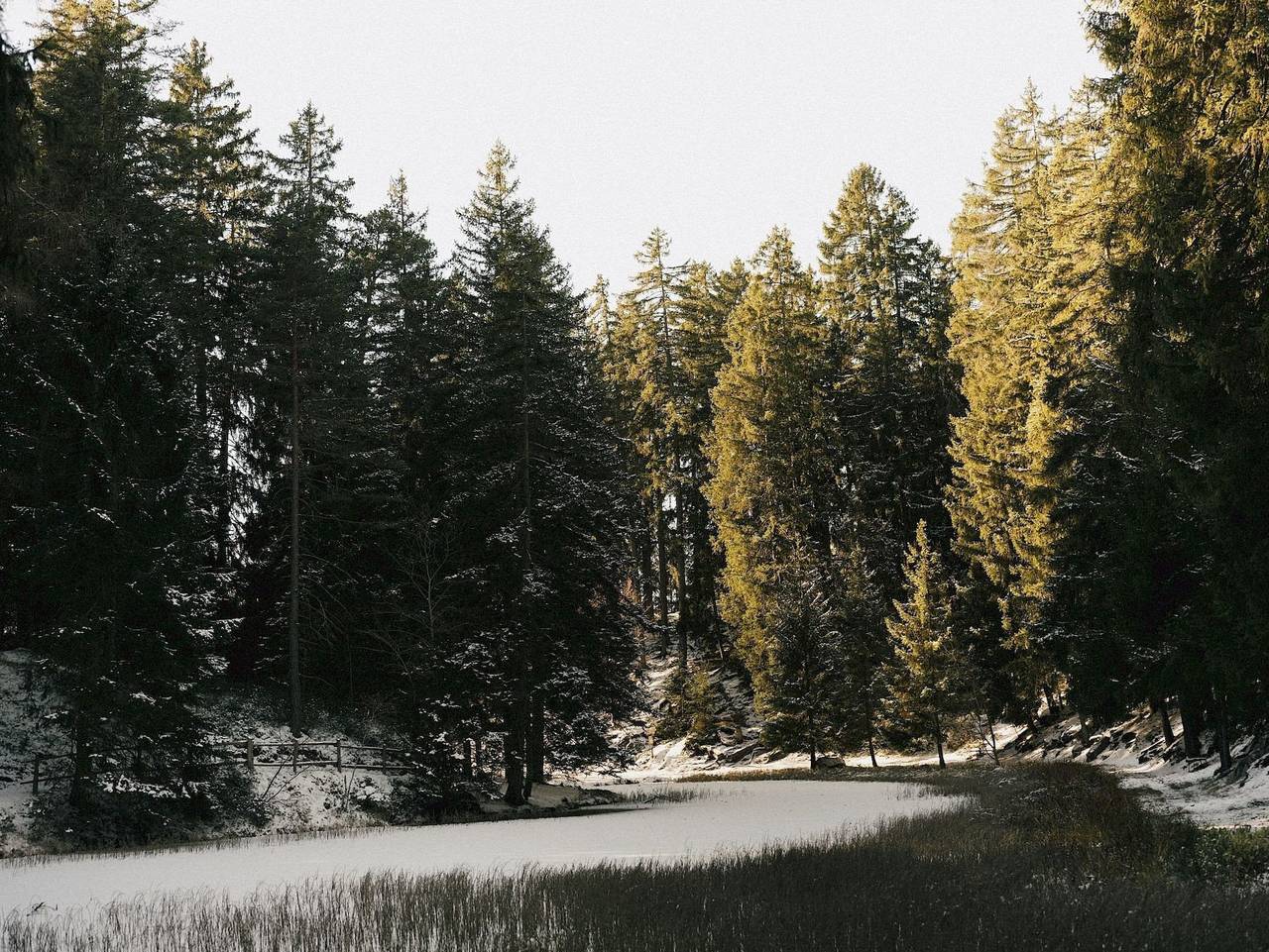 Miramonti Boutique Hotel - Explorer Classic in Hafling, Sarntaler Alpen