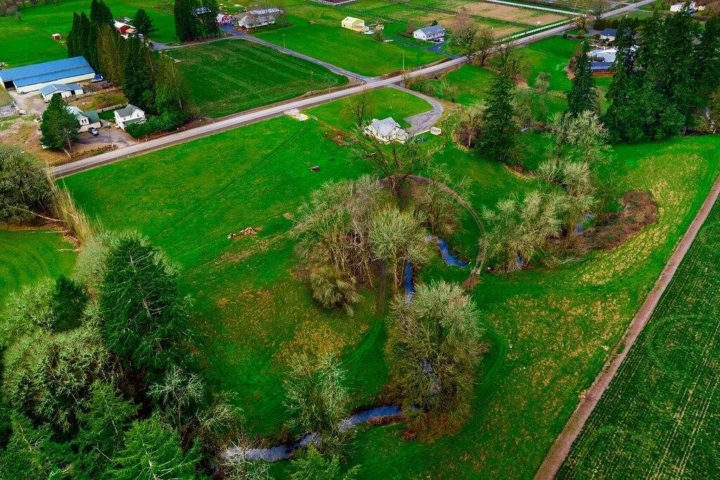 Single Level Country Cottage, New Decor, Huge Yard w/ Farmland Views, 5 Min to Newberg in Yamhill County