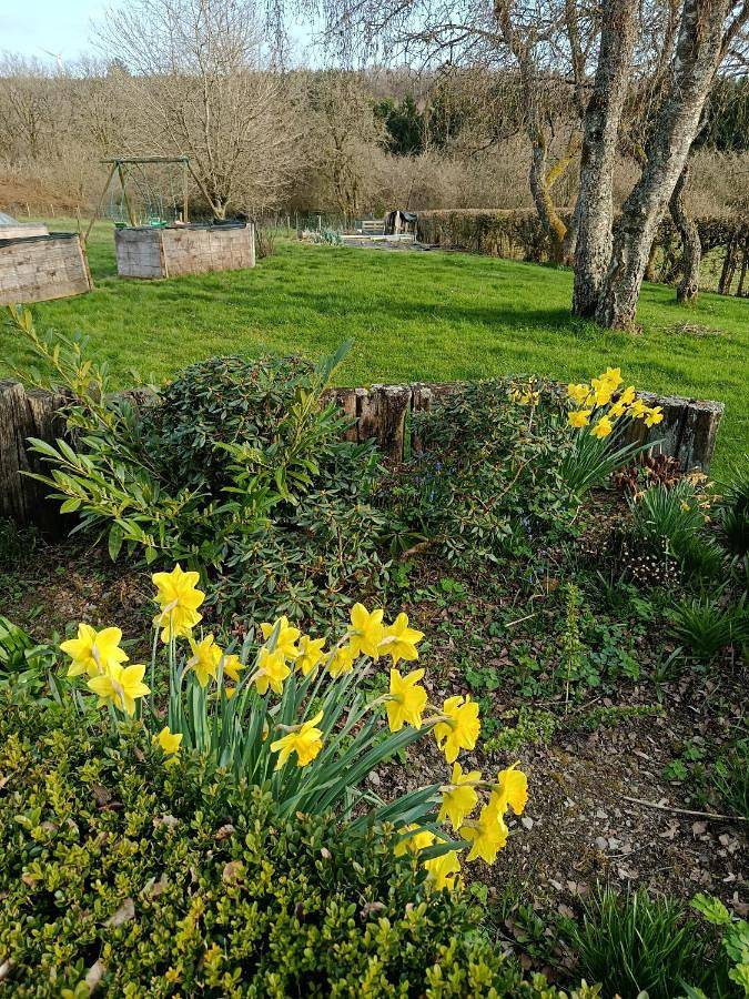 Gîte pour 2 personnes, avec jardin et terrasse à Fauvillers - 3