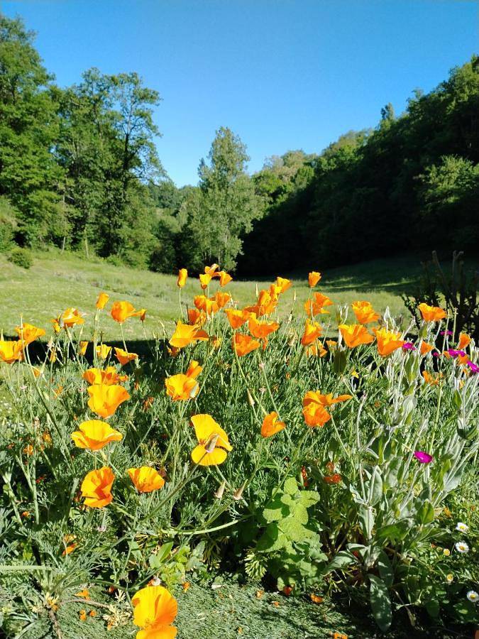 Chambre d’hôte pour 2 personnes, avec terrasse ainsi que vue et jardin à Figeac - 3