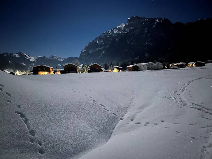 Bauernhof für 4 Personen, mit Garten im Bregenzerwald - 3