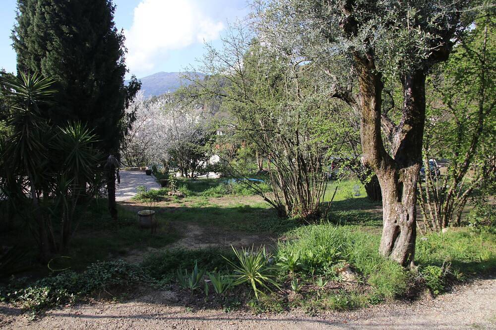 Small quiet house surrounded by olive trees between sea and mountains in Contes, Nice region