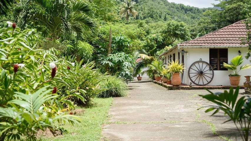 Gîte pour 2 personnes, avec vue ainsi que bassin pour enfant et jardin en Martinique - 4