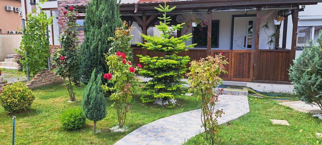 Maison d’hôte pour 5 personnes, avec vue et jardin dans Constanța - 3