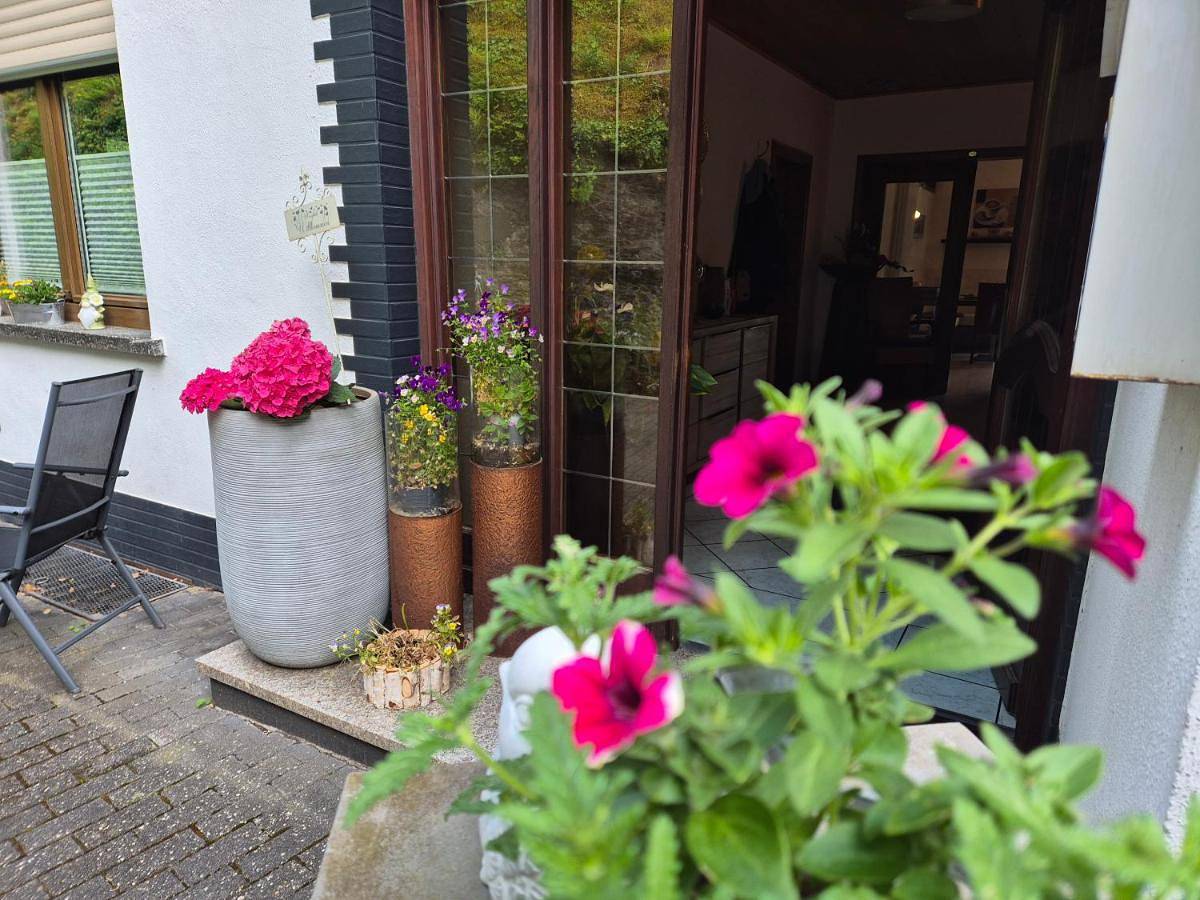 Double or Twin Room in Zell (Mosel), Traben-Trarbach et ses environs