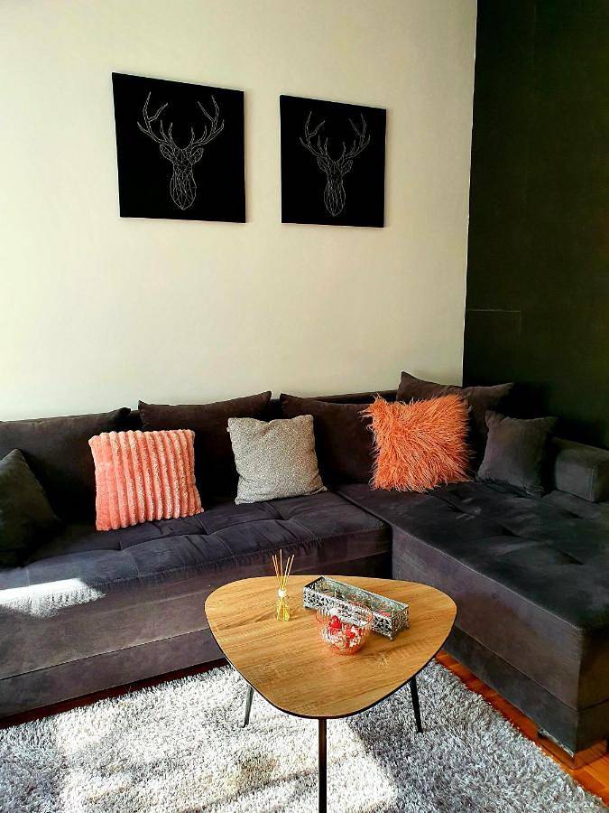 Gîte pour 4 personnes à Novi Sad - 3
