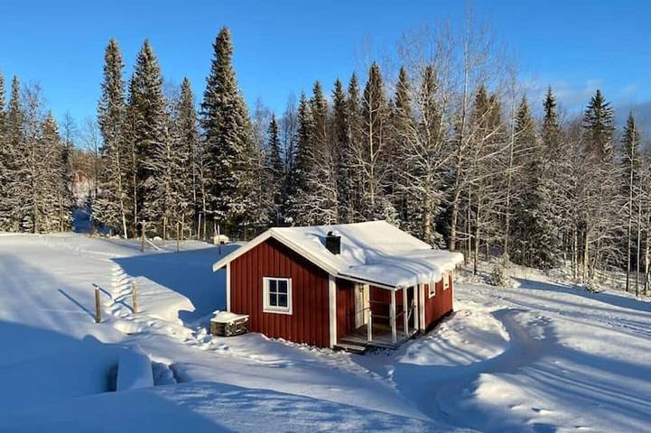Blockhütte für 4 Personen, mit Terrasse und Sauna sowie Garten - 1