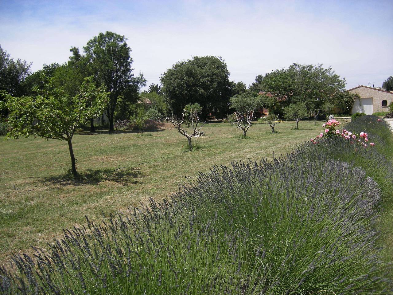 Aritimi in Mazan, Parc naturel régional du Mont-Ventoux