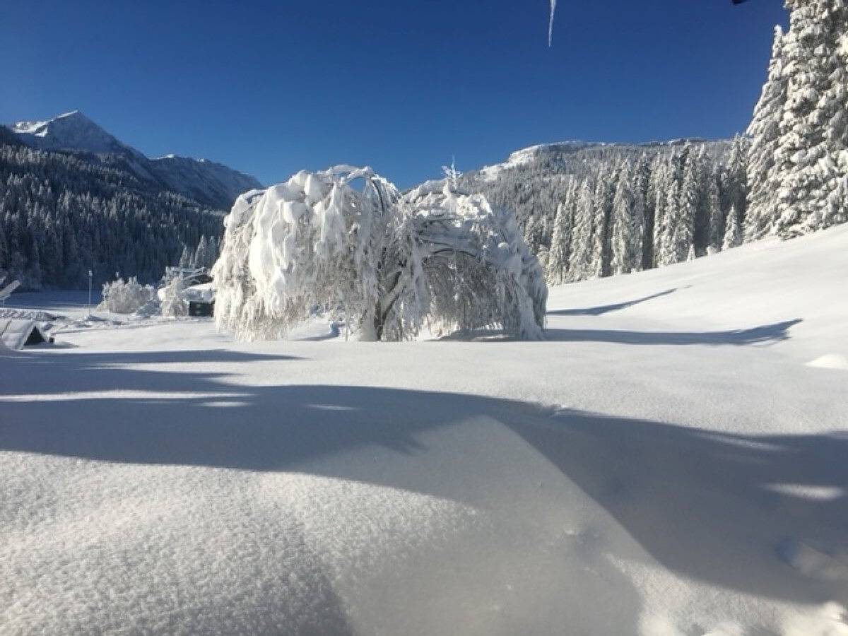 Ganze Wohnung, Gruppenferienwohnung am Auweg mit Bergblick, Garten und Wlan in Hirschegg Kleinwalsertal, Mittelberg