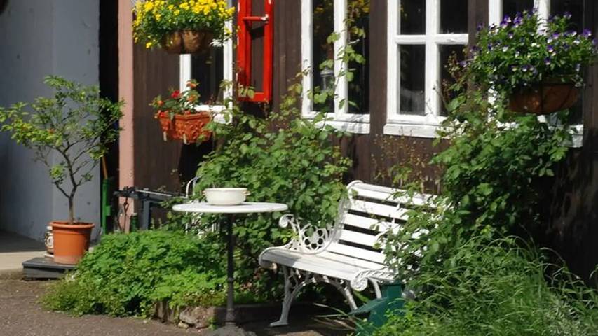 Gîte pour 10 personnes, avec terrasse à Europa-Park - 3