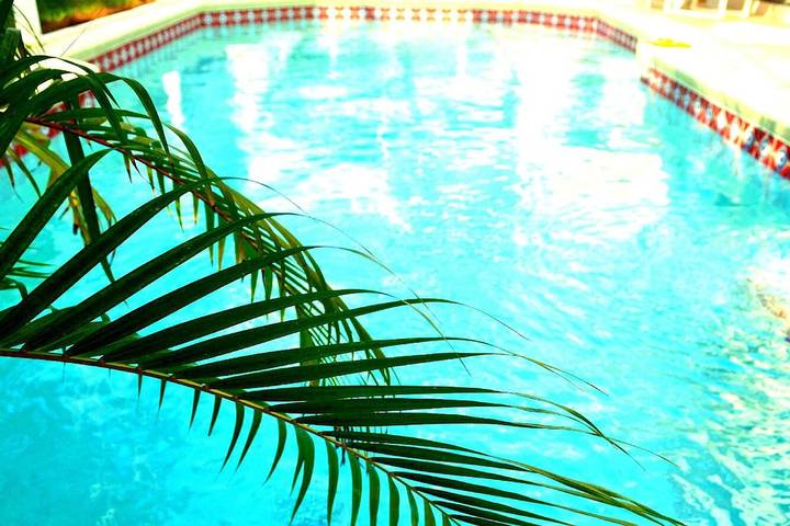 Vacation rental for 6 people, with yard and terrace as well as pool in Haines City