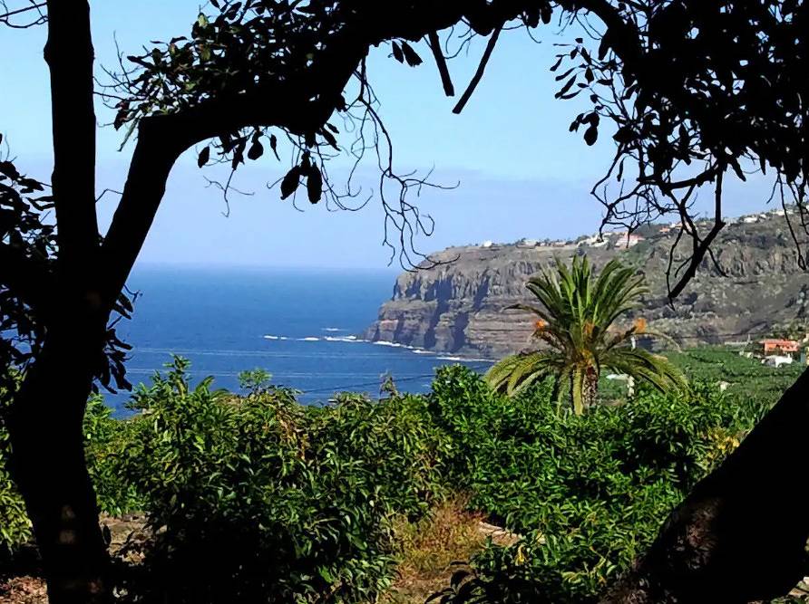 Home2Book Charming Cottage Juanita, Among Avocados in La Orotava, Tenerife du Nord