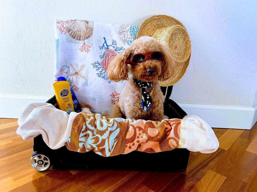 ⭐️Shell Yeah!⭐️ Sommerangebot in Anna Maria (FL), Anna Maria Island