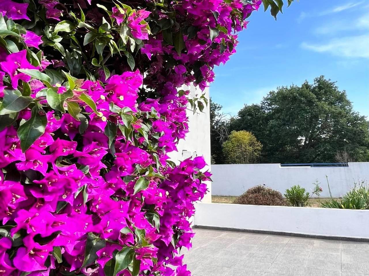 Apartamento entero, Résidence Amanda in Santa-Lucia-di-Moriani, Región de Corte